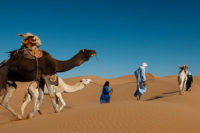 Camel trekking in the dunes of Erg Chegaga